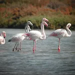 Alojamiento Rural Coto De La Isleta