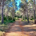 La Mallada