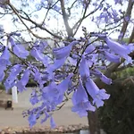 Las Taladillas