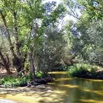 Habitacion Y Bano Privado, Tranquilidad Y Naturaleza.