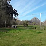 Vivienda Vacacional Del Busto - Ribadesella