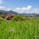 Trichorio