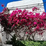 Suite Buganvilla Vejer