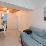 El Magnolio
