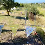 Finca Lavinia