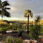 Finca Lavinia