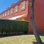 Galia Ballena