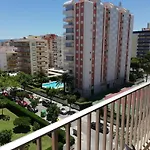 Danio Solo Familia Serviplaya
