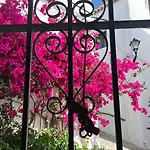 Suite Buganvilla Vejer
