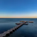 Estrella De Mar - Alerces II