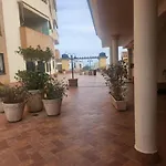 Palmeras De Erasa