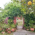 Casa Con Jardin Frente Playa De Burriana