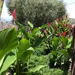 13 Bedroom Cozy Home In Sayalonga