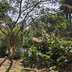 Home Stay En Finca Rural