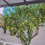 La Covacha - Unique Town House With Exclusive Pool And Garden In The Heart Of The Village