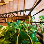 Holiday Home Rosa By Interhome