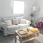 Aba Tropical & Aba Suite