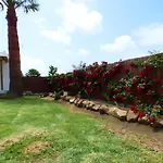 Apartamento El Petit Con Piscina Privada En Conil De La Frontera - Es-180-251