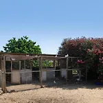 Casa El Pino