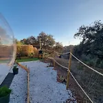 Glamping Burbuja Los Almendros