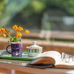 Villa Lola Exotica