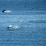 Sol Arena Y Mar