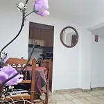 Piso, Bonito,Acogedor Y Barato