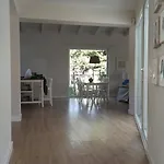 Diseno Y Luz Entre Los Pinos