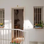 Apartamento En Pleno Centro Historico