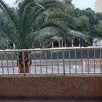 Jardin-I Playa De Gandia #Solo Familias#