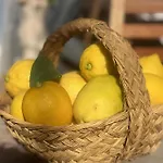 Casa Limonero