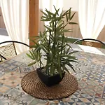 Villa Luny Playa Gandia