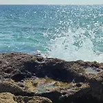 El Abejaruco