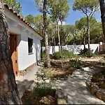 Casa Palmito