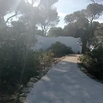 Casa Palmito 2