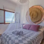 Paloma