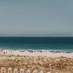 Colores De Zahara