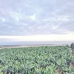 Enchanting Dream View A5, Finca Atalaya In Costa Adeje