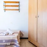 Sorpresa
