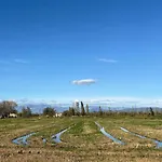Vibra Delta