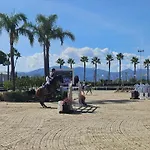 Apartamento Con Piscina En Oliva Nova