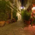 Livingtarifa Paloma