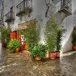 Livingtarifa Paloma