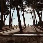 Apartamento Acogedor En Primera Linea De Playa