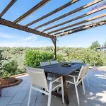 Casa Arbol