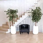 Studio Ohana