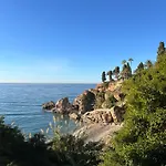 Casa Frijo Tropicana