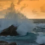 Flamenco