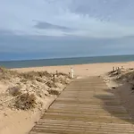 Beach Paradise