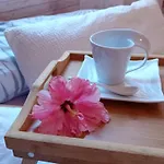 Marbella Beach, Apartamento Para 2 En Alvarito Playa